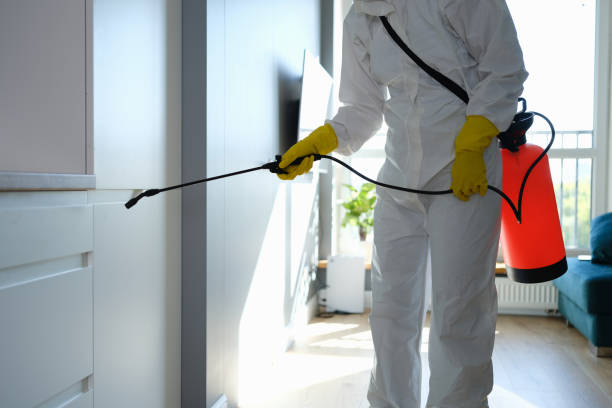 Best Mold Removal Specialists  in Appleton City, MO